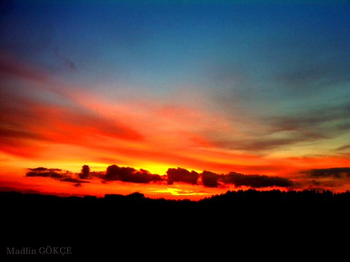 Sunset by Madlin Gökçe, trees sunset brussels sky clouds fire ciel arbres nuage nuages paysage extérieur feu coucherdesoleil