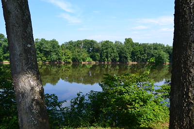 view of a big river with a forested edge
