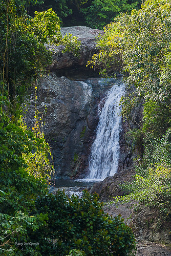 verde green nature water canon river landscape waterfall agua rocks stream puertorico tropical adjuntas cascada markiii