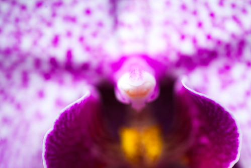 Consequences | by Thomas Hawk