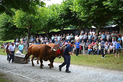 Iturretako Kristobal Deunaren Jaiak 2016