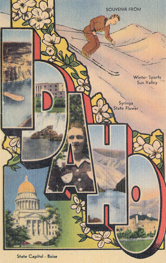 Souvenir from Idaho - Large Letter Postcard