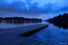 Macritchie Reservoir at blue hour