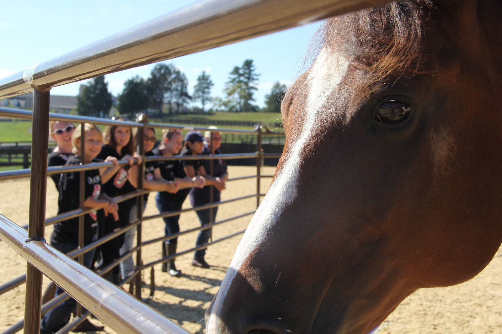 2015_T4T_Salamander Equine Therapy 34