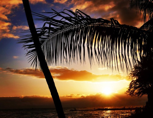 sunset sunsets goldenhour hawaii waikikibeach tropical