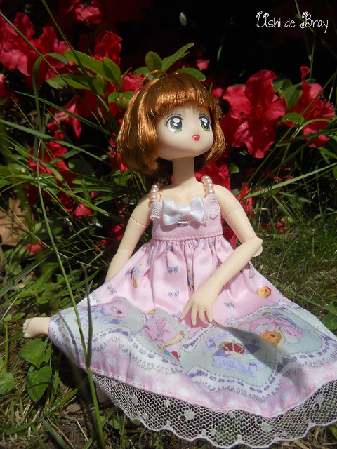 Sakura in the garden