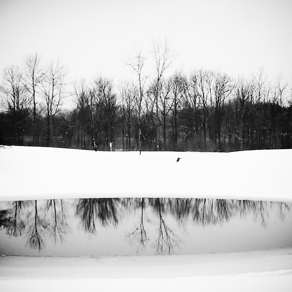 Bleak but beautiful Ohio winter scene near Dayton. | Flickr