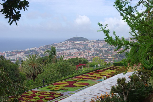 IMGP7597 View from Jardim Botanico, Madeira, April 2015
