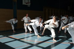 2008 Training mit Kanazawa SOKE in Bulle