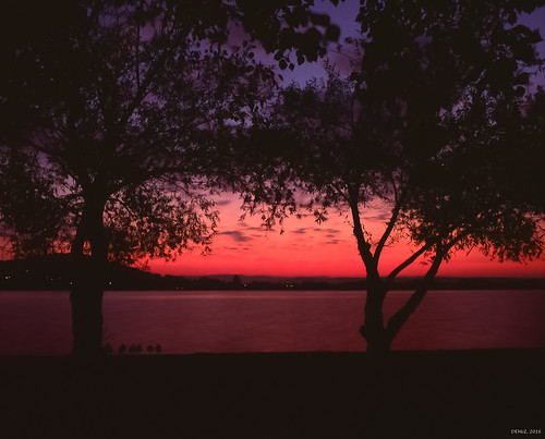 4apr2016 p67ii rvp50 slidefilm p6755f4smc australia canberra sunrise lake lakeburleygriffin filmisnotdead manilovefilm mediumformatfilm landscape landschaft