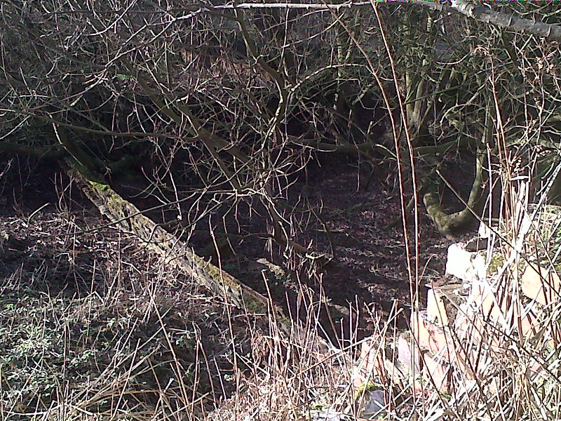 Moorends Peat Works