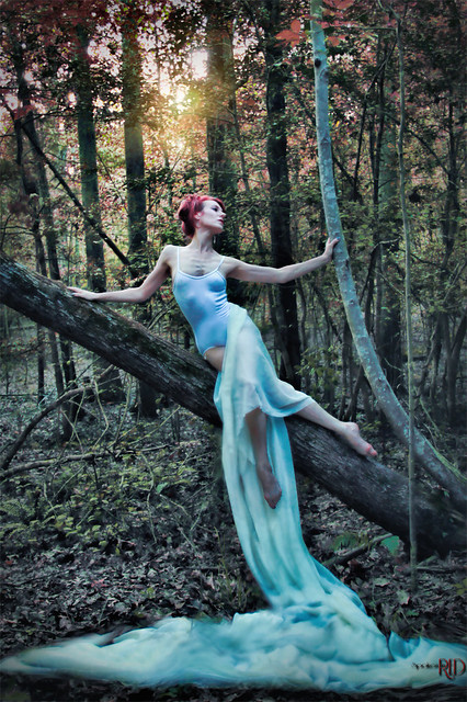 Echoes of a Dryad