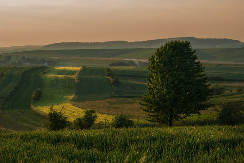 light landscape soft village polska farmland orły województwopodkarpackie