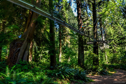 Greenheart Treewalk at UBC Botanical Garden