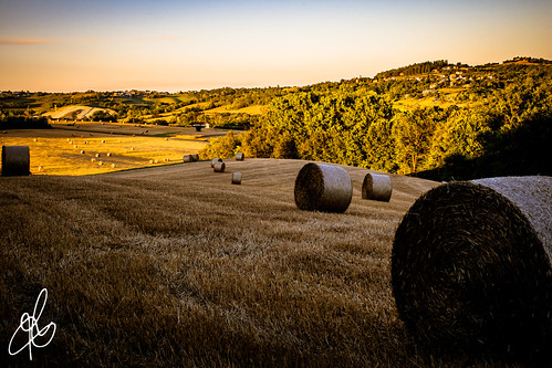 I Riccioli della Terra by Torchia Marco, Tipico paesaggio monferrino nel periodo della raccolta del grano e del recupero degli scarti creando