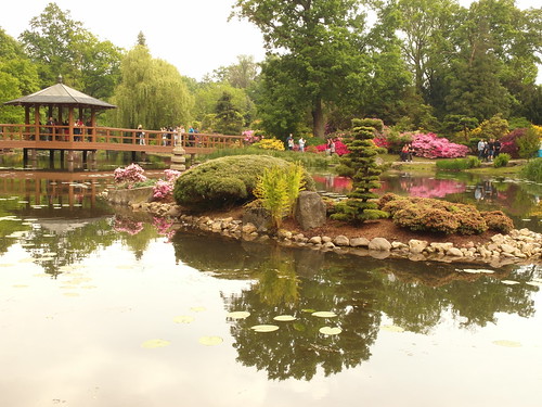 garden japanese polska wrocław