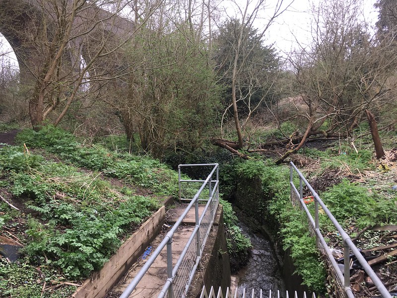 Where Coombe Brook disappears underground for the last time