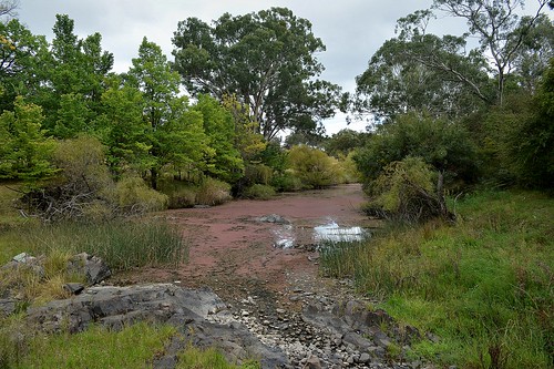 water pool river landscape rocks australia drought nsw waterhole streambed waterscape herbertpark exotictrees northerntablelands australianrivers garariver newenglandtablelands streamscape