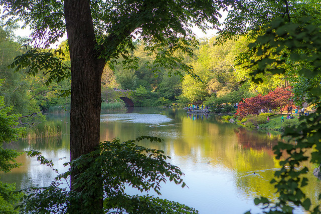 Central Park Pond In Spring Sunset