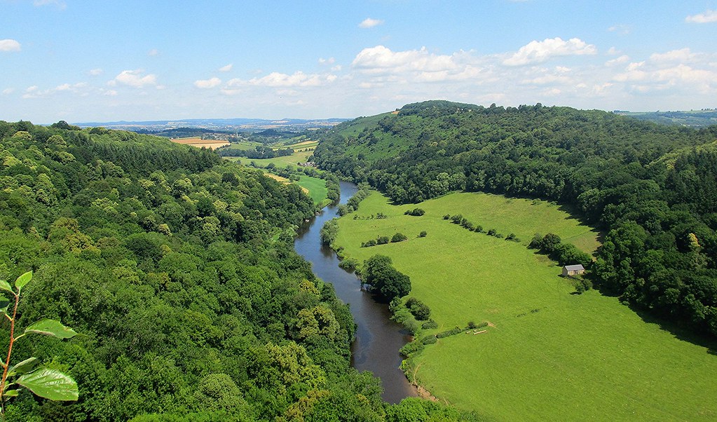 The view from Symonds yat rock.