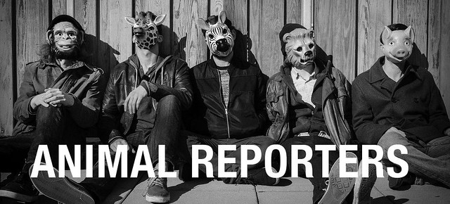 animal reporters
