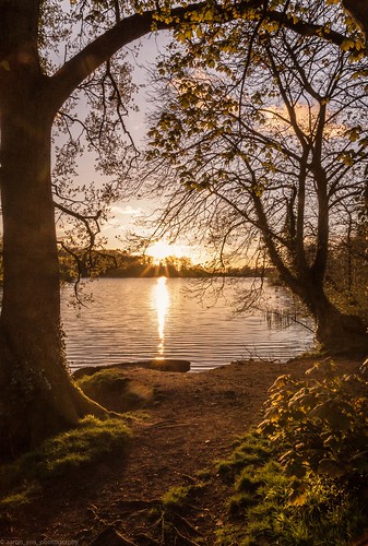 park trees sunset sun lake water grass lakeside parklake lurganpark sonyslta77v sonydt1650mmf28ssm