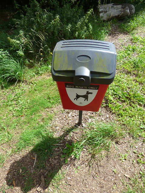 Sanders Park, Bromsgrove - woodland walk - dog bin