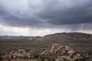 Rain seen from Ryan Mountain | by Joshua Tree National Park