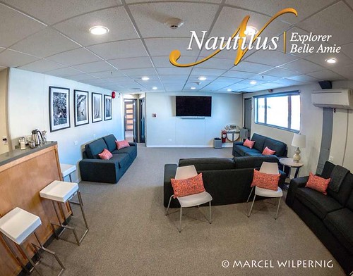 Nautilus Belle Amie