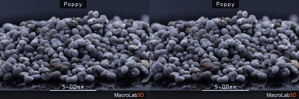[Cross View 3D] Poppy seeds, 1.3X focus stacking.