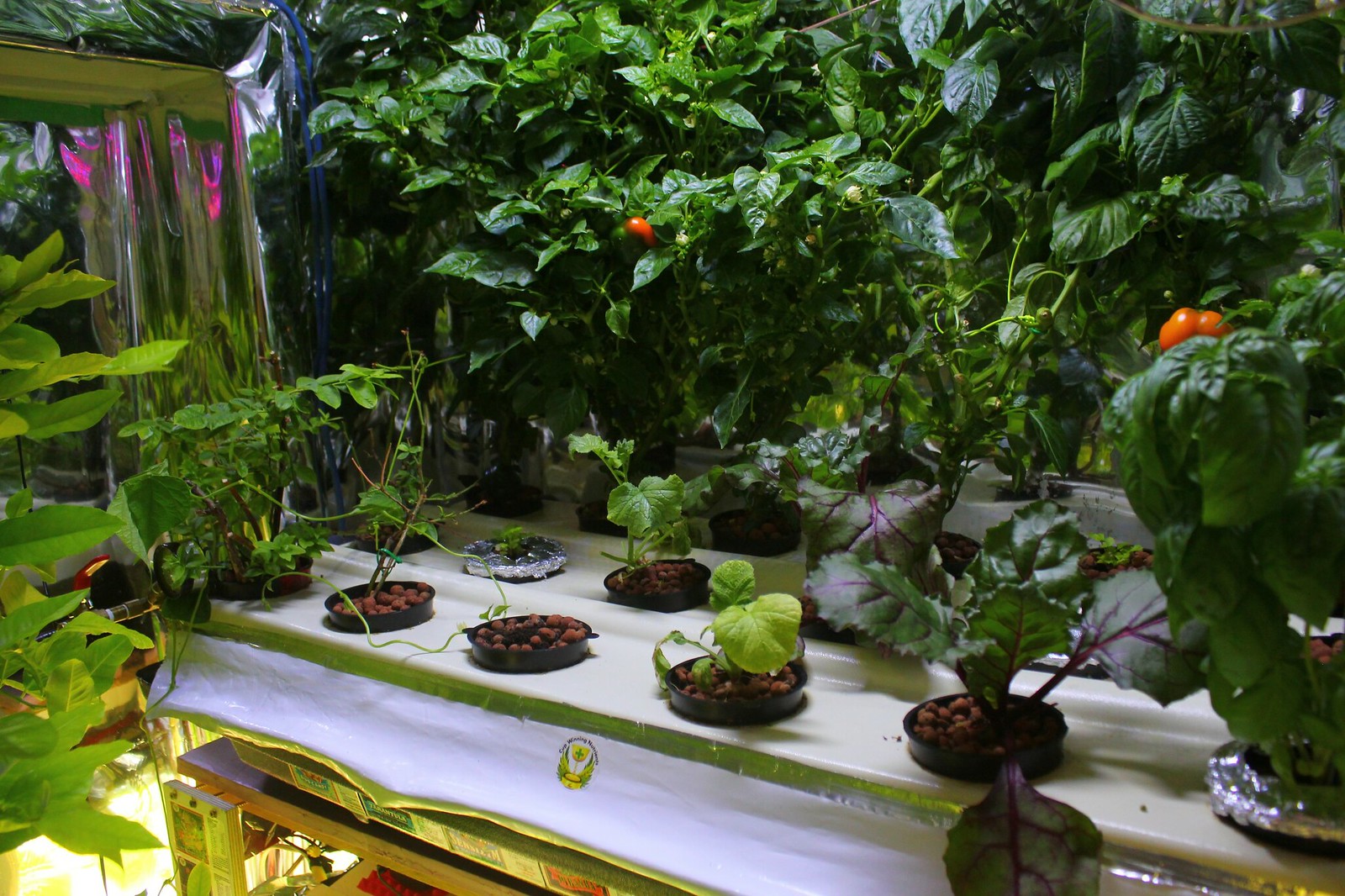 Aeroponic indoor garden