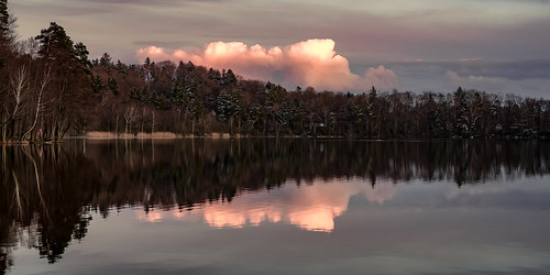 pink clouds wolken lake see woods wald trees bäume panorama bavaria bayern rosa symmetry steinsee moosach oberseeon