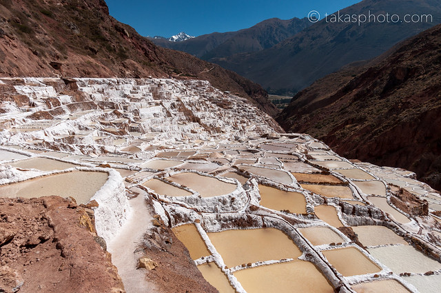 The Salt-Evaporation Ponds of Maras (Las Salineras de Maras), Maras, Urumbamba, Peru ペルー マラスの塩湖