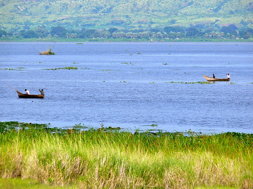 fishermen uganda lakealbert whitenile murchisonfalls