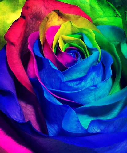 Multi Colors. | by Stella T. Photography is life.