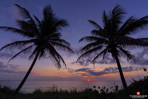 sky beach nature clouds sunrise landscape outdoors florida sony scenic jupiter fullframe fx atlanticocean waterscape jupiterisland a7r southeastflorida coralcove sonya7r zeissfe1635mmf4zaoss