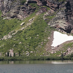 Common Loon in Gunsight Lake