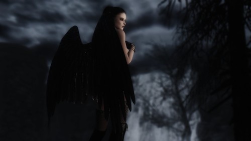 Black wings | by laxire1