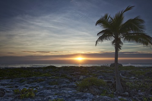 sunrise mexico yucatan palm caribbean ndfilter leefilter