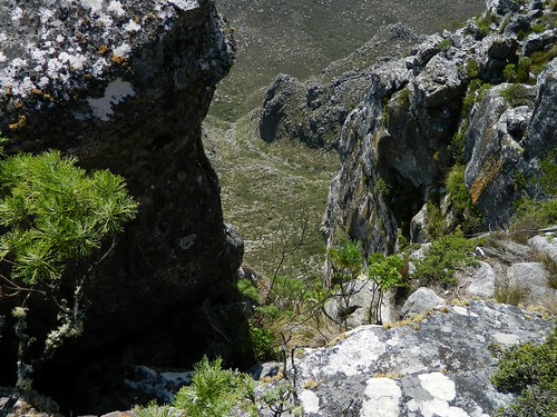 Cape Town
