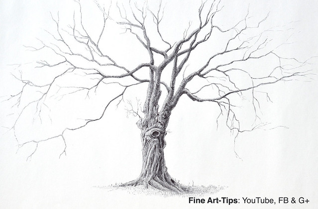 How to Draw a Beautiful Tree With Pen - Narrated
