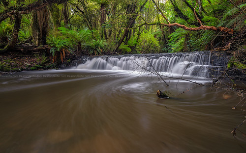 newzealand creek forest river waterfall stream falls jungle nz tropical swirl ferns catlins aotearoa purakaunui aotearoatour