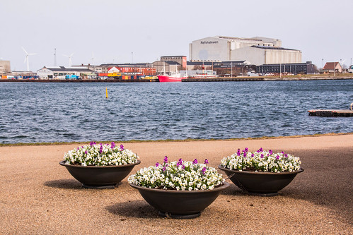 Waterfront, Copenhagen | Brian Wilson | Flickr