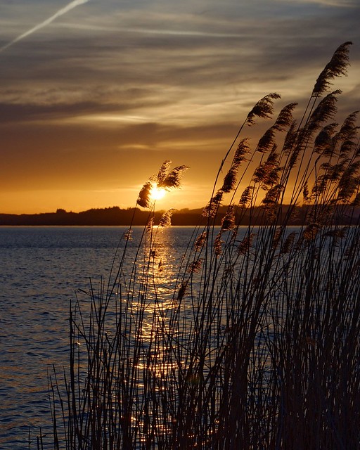 Lake Chiemsee Sunset