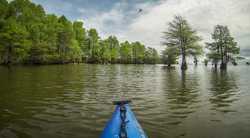 us unitedstates southcarolina kayaking paddling summerton frierson