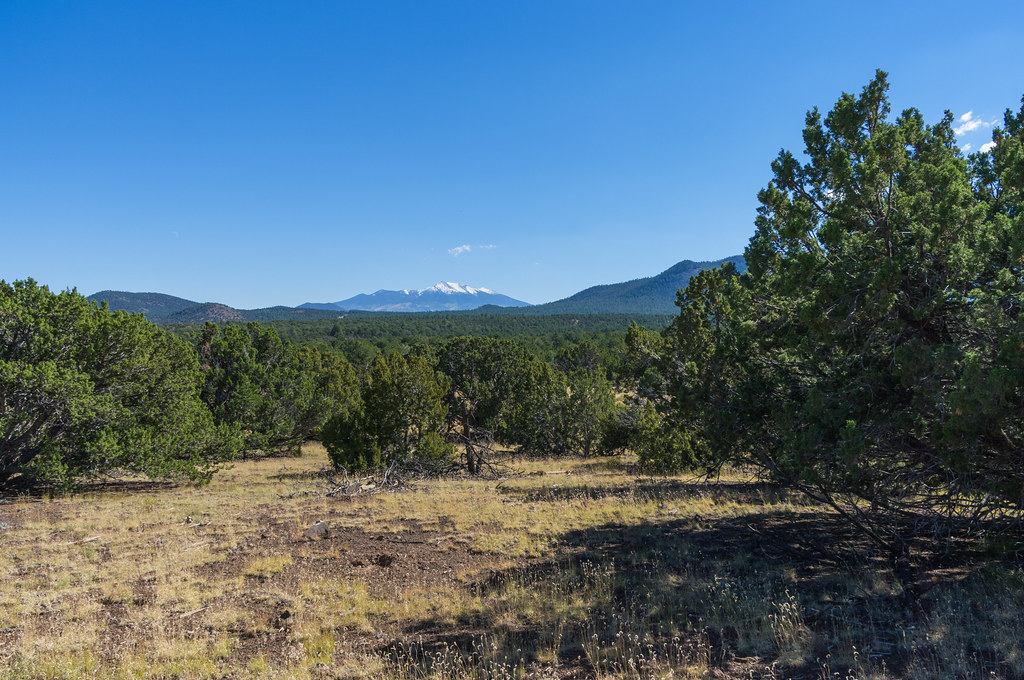 Red Mountain Trail #159