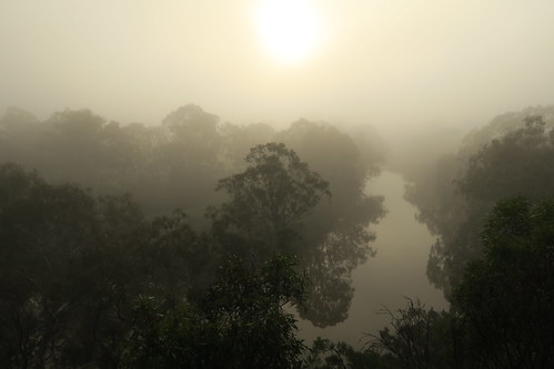 morning trees sun mist reflection fog kew sunrise river landscape outdoors australia melbourne victoria yarrariver gumtrees