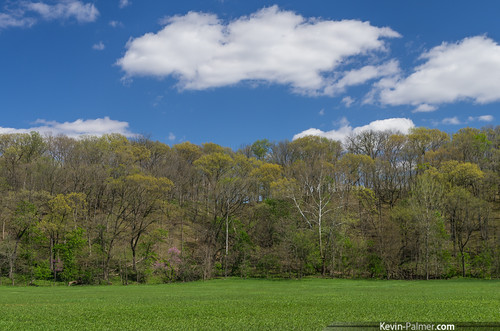 blue trees sky green grass clouds washington illinois spring sunny april farmdale kevinpalmer pentaxk5 farmdalerecreationarea