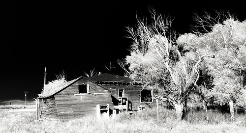 trees sky monochrome vegetation abandonedhouse shadows bleak junk fence barewood blackandwhite openwindows antenna utilitypoles horizon cloud brokenroof weathered hss