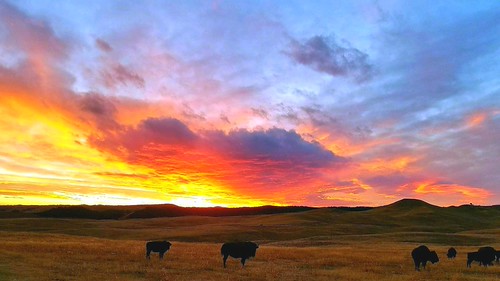Custer State Park | by dh.lockwood